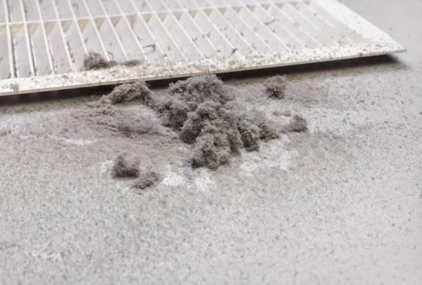 Best HVAC System Cleaning  in Rush City, MN